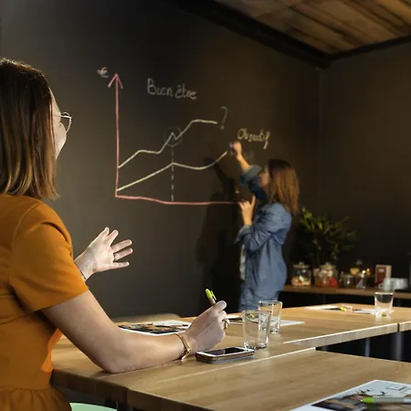 Ibis Styles Lyon Stadium 3*